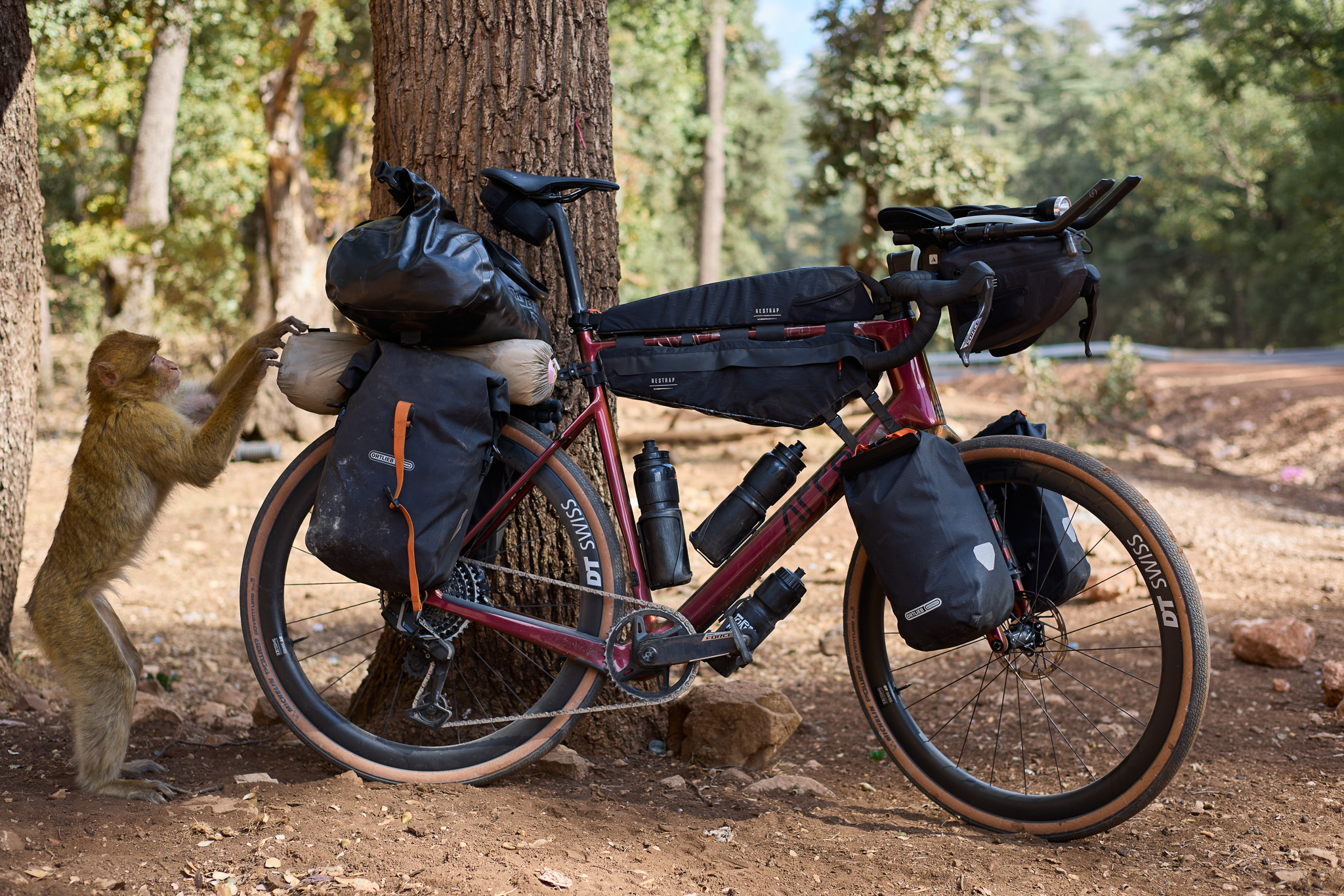 Flurin Leugger Canon 18