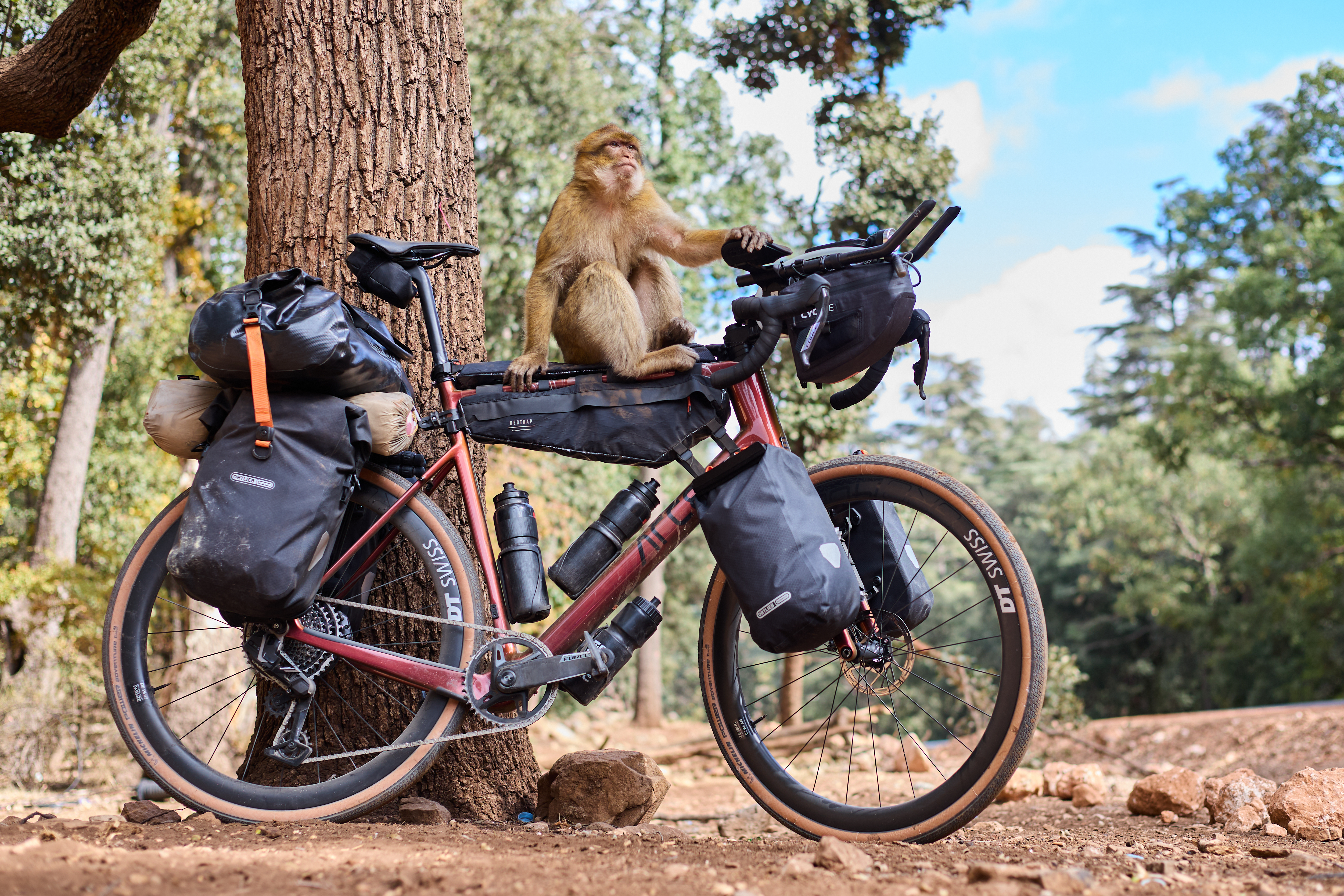 Flurin Leugger Canon 26