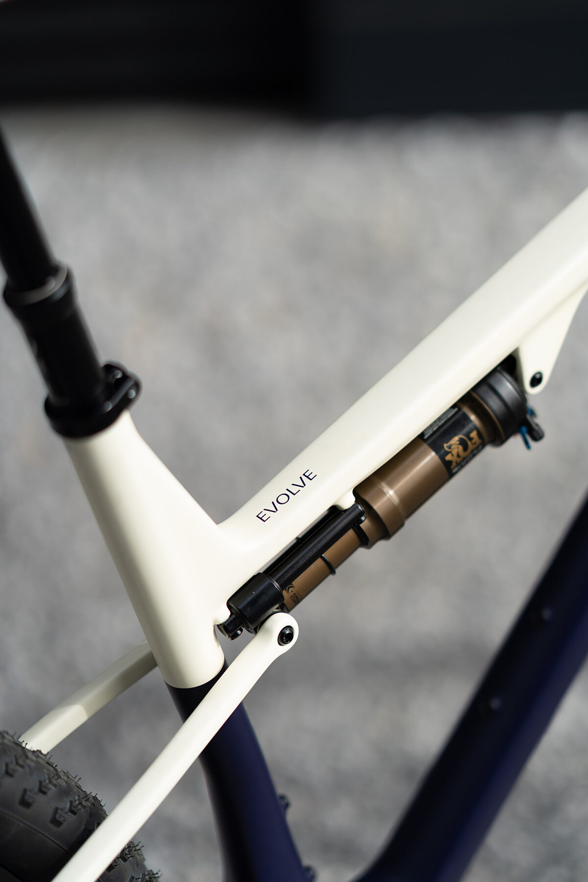 26 Evolve FS Backberry XTR Di2 4
