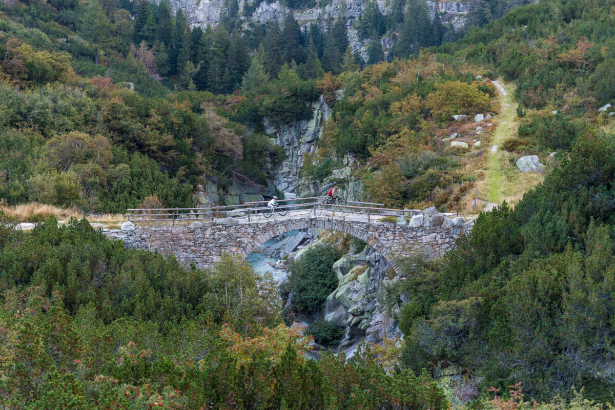 ARC8 by rogergruetter 105